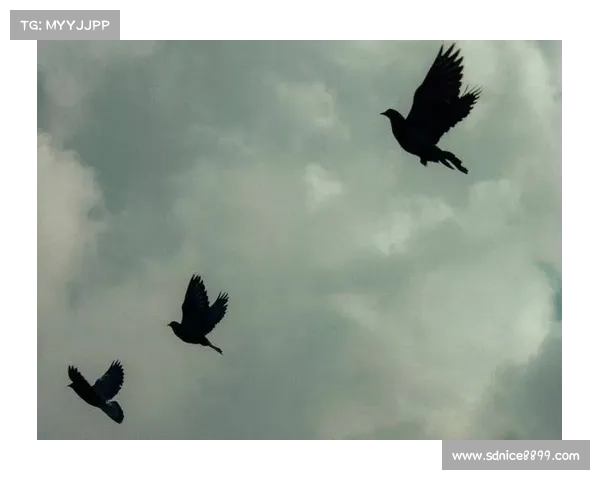 巴舒亚伊语言特点解析：五大语言特征揭示其独特表达风格与文化背景