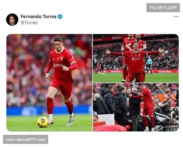 托雷斯传奇绰号的由来与其对足球界影响力的深远分析